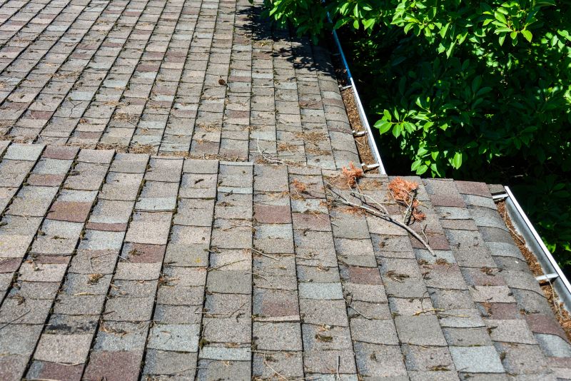 Roof Cleaning and Debris Removal